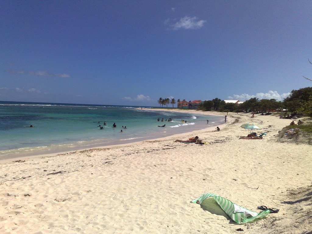 Plage de raisins clair